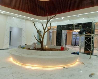 xay-dung-du-an-van-phong-dien-nang-luong-mat-troi-long-an